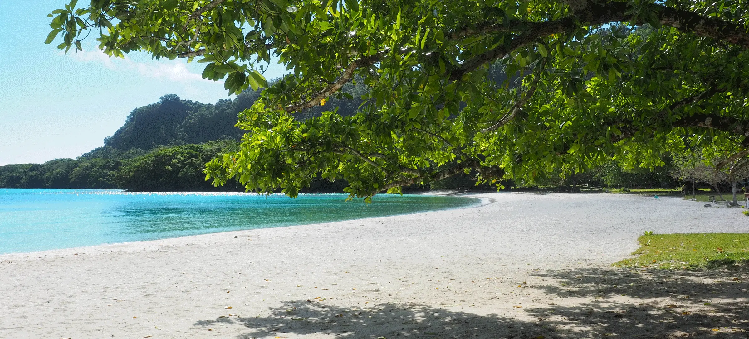 EZ Deal Car Rentals in Dominica Luxury & Cheap Cars for Rent