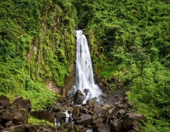 7 Reasons Why Ezdeal Car Rental is Your Best Choice for Exploring Dominica in 2024
